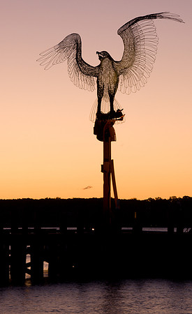 Greenport Gull