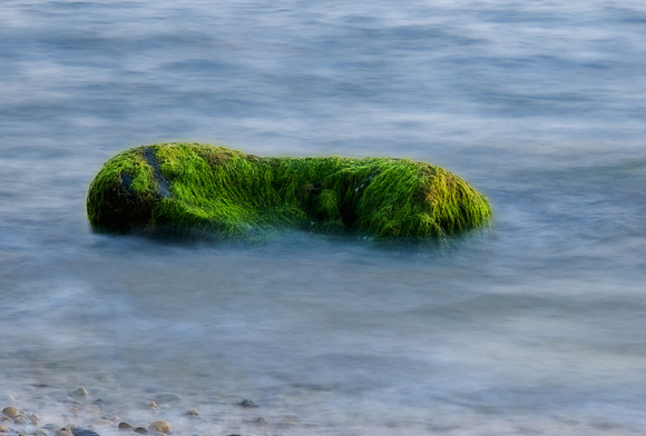 Sea Rock