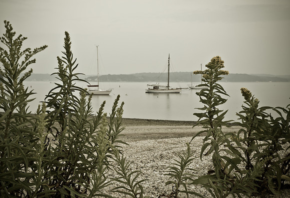 Hobart Beach